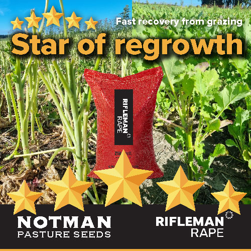 Star-performer-Rifleman-Rape-LS