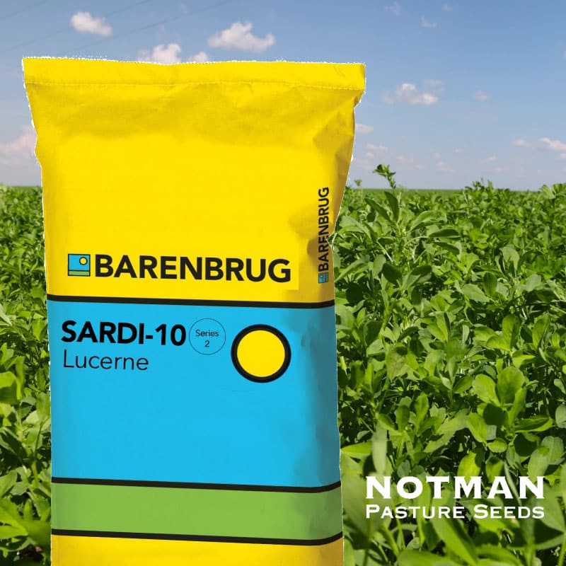 Barenbrug-Sardi-10-Series-2-Lucerne-Notman-Pasture-Seeds