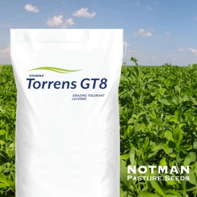 Torrens GT8 Grazing Lucerne