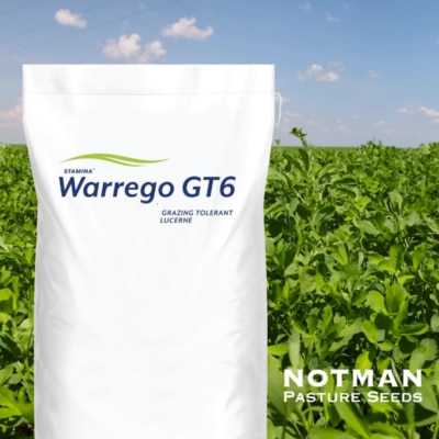 Warrego GT6 Grazing Lucerne