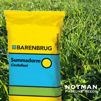 Summadorm Cocksfoot