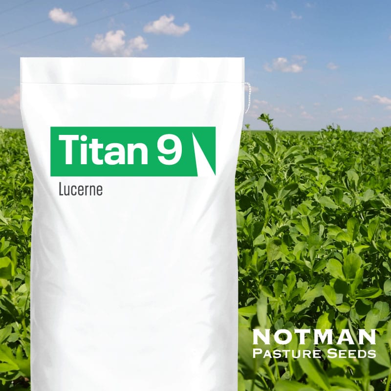 Titan-9-Lucerne-Notman-Pasture-Seeds