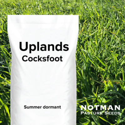 Uplands Cocksfoot