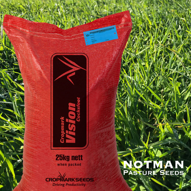 Vision-Cocksfoot-Notman-Pasture-Seeds