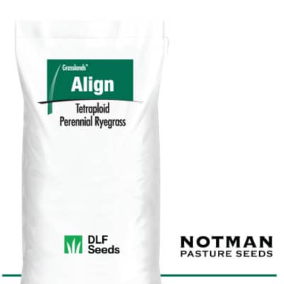 Align AR37 Perennial Ryegrass
