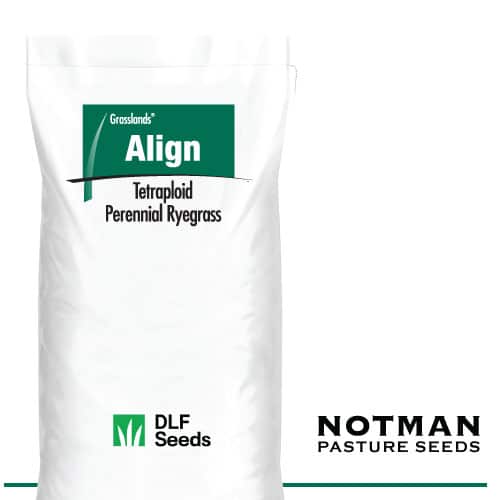 Align AR37 Perennial Ryegrass