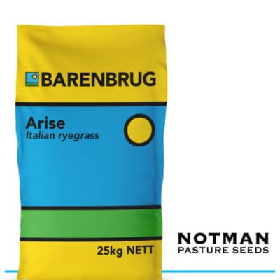 Arise Italian Ryegrass