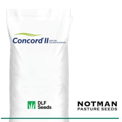 Concord II Italian Ryegrass