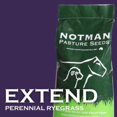Extend TD Perennial Ryegrass Blend