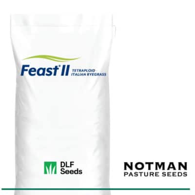 Feast II Italian Ryegrass