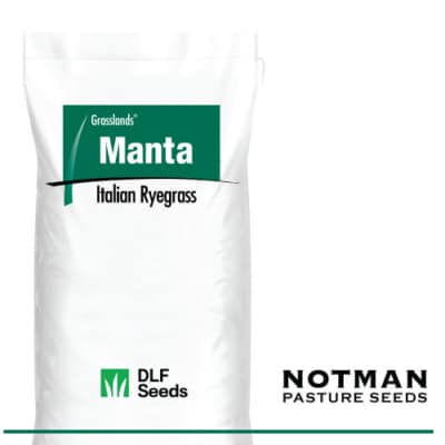 Manta Italian Ryegrass