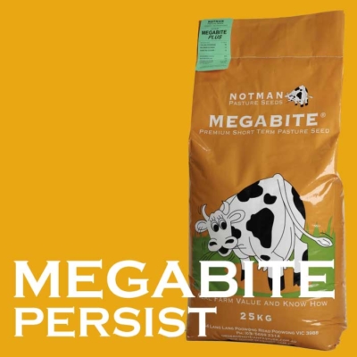MEGABITE Persist