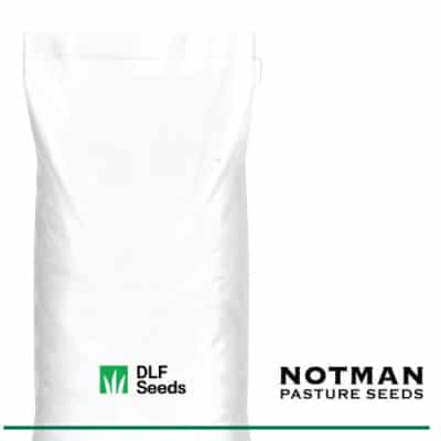 Shift Italian Ryegrass