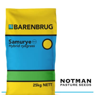 Samurye NEA12 Hybrid Ryegrass