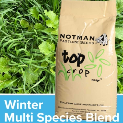 Winter Multi Species Blend