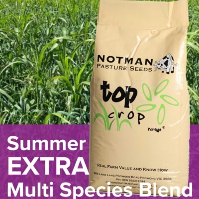 Summer EXTRA Multi Species Blend