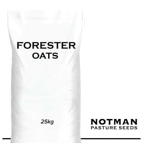 Forester-Oats-Notman-Pasture-Seeds