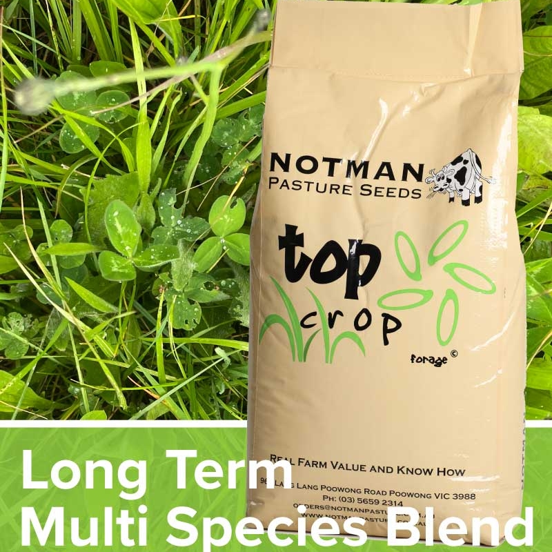 Long-Term-Multi-Species-Blend