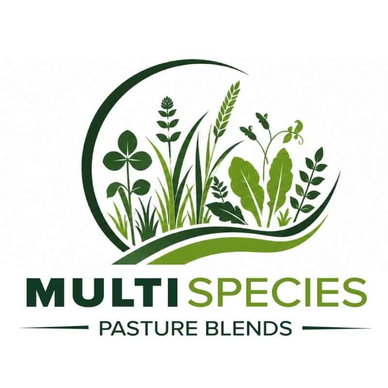 Multi-Species-Pasture-Blends-Notman-Pasture-Seeds