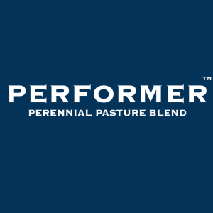 Performer Blend - Notman Pasture Seeds