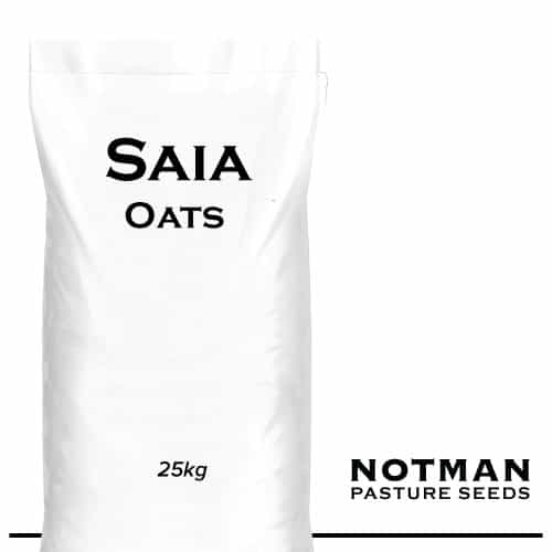 Saia-Oats-Notman-Pasture-Seeds