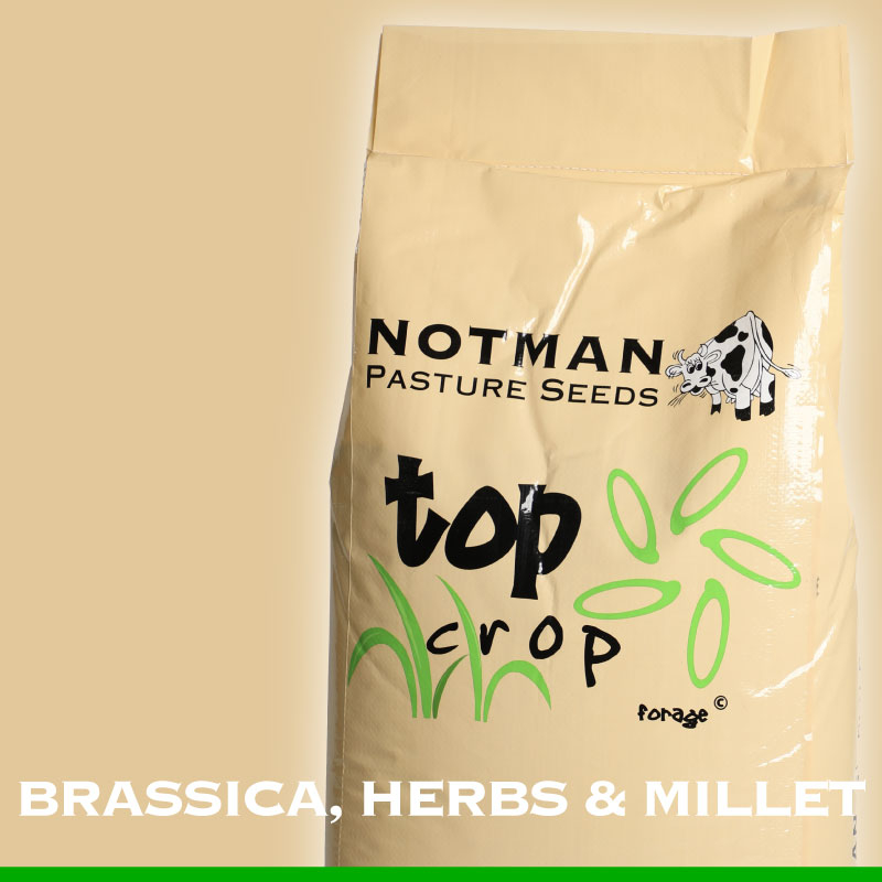 Top-Crop-Blends-Brassica-Herbs-Millet