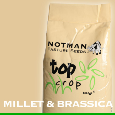 Top-Crop-Blends-Millet-Brassica
