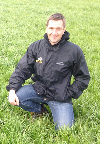 gavin notman - notman pasture Seeds